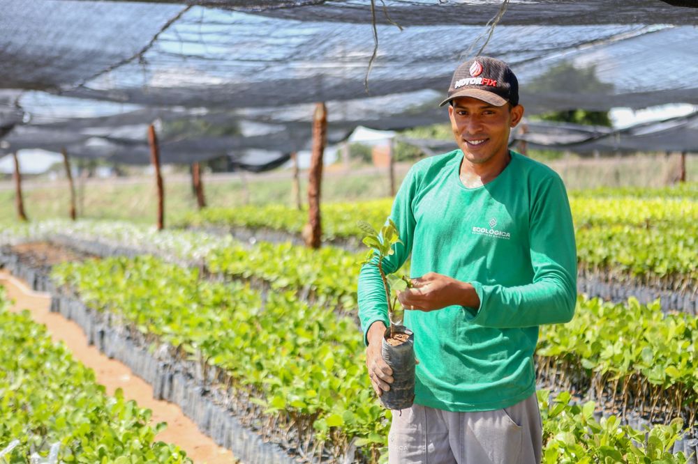 Divulgado resultado de projetos selecionados para o programa Piauí Sustentável e Inclusivo